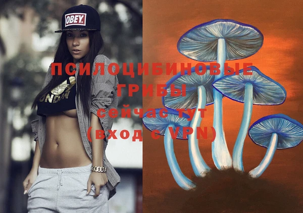 дурь Абдулино
