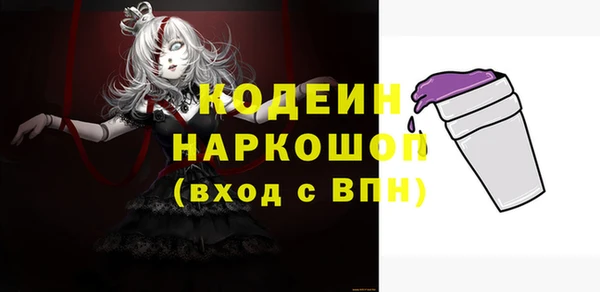 шишки Няндома