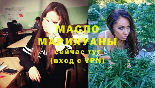 шишки Няндома