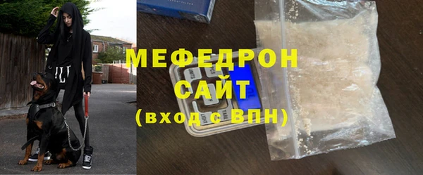 шишки Няндома