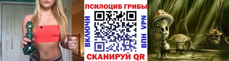 Галлюциногенные грибы Cubensis  купить   Владикавказ 
