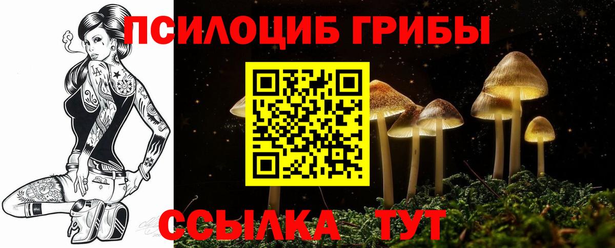 Галлюциногенные грибы прущие грибы  Псилоцибиновые грибы ЛСД  Вход с VPN  Владикавказ 